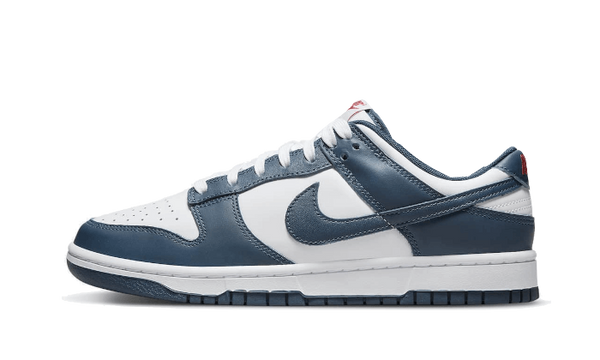 Nike Dunk Low Valerian Blue