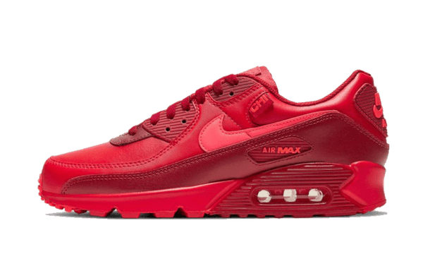 Nike Air Max 90 Chi-City Special