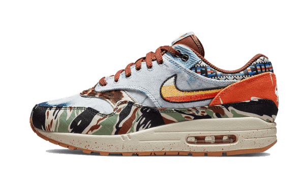 Nike Air Max 1 SP Concepts Heavy